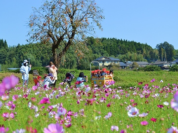 7月〜9月の画像